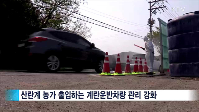 계란운반차량 '일제단속'…경계단계 격상 검토