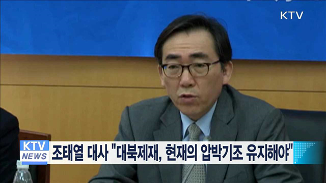 조태열 대사 "대북제재, 현재의 압박기조 유지해야"