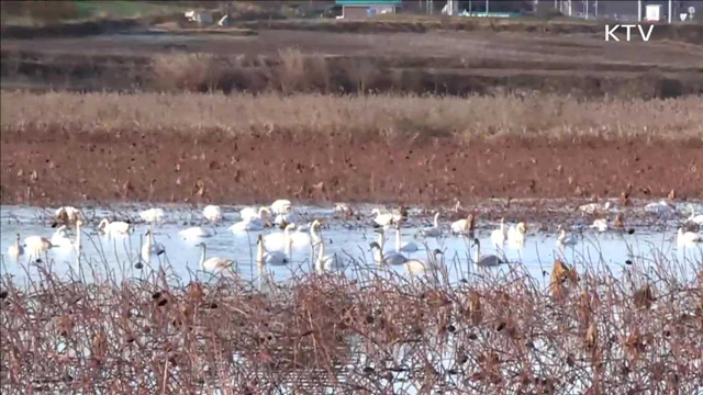 부처간 방역협조체계 구축·소독시설 점검 강화