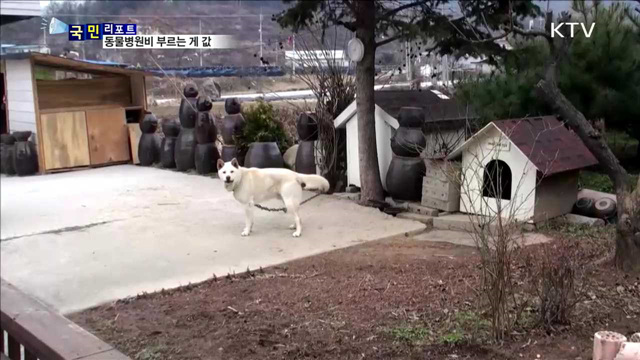 반려동물 진료비 천차만별…최대 18배 차이