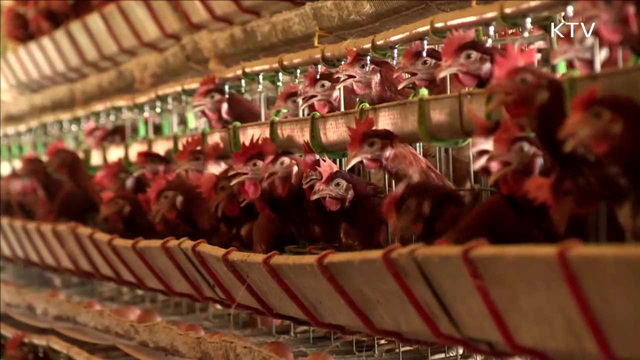 오늘 자정부터 48시간 '일시 이동중지'