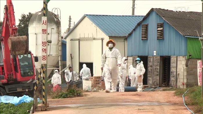 철새 본격 남하…축산농가에 철저한 방역 당부