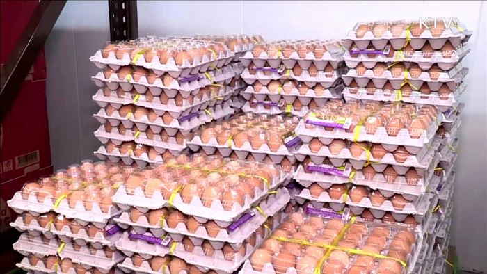 KTV 뉴스 (17시) (489회)