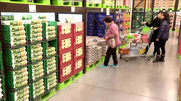 "방역활동 대체인력 확보"…계란반출 제한적 허용