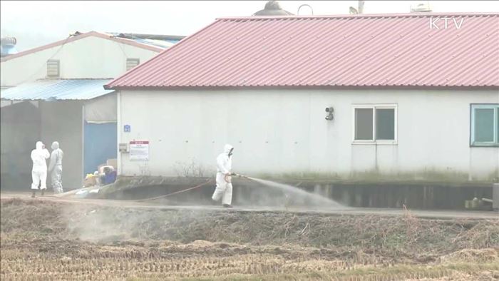 KTV 뉴스 (17시) (497회)