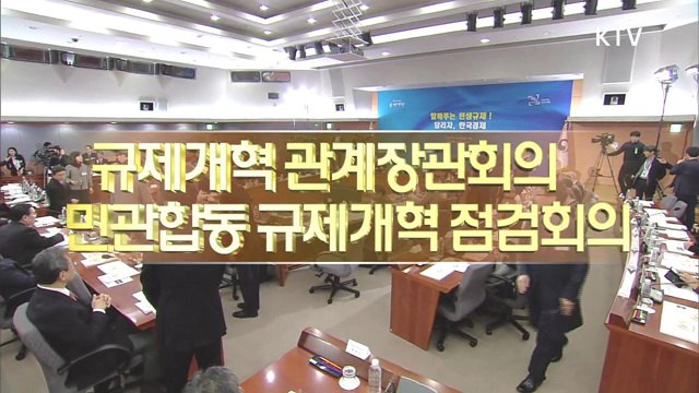 규제개혁 관계장관회의 민관합동 규제개혁 점검회의