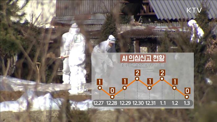 AI 의심신고 '0건'…방역활동 지속 추진