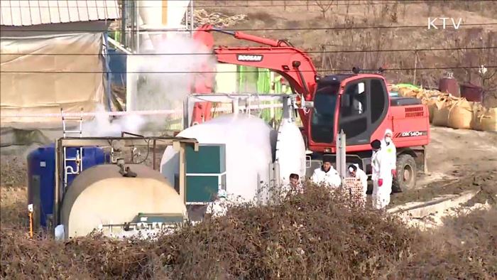 제주 농가 특이사항 없어…방역대설정·이동제한