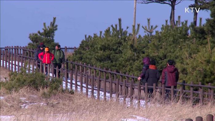 겨울 여행주간…"알뜰여행 떠나요"
