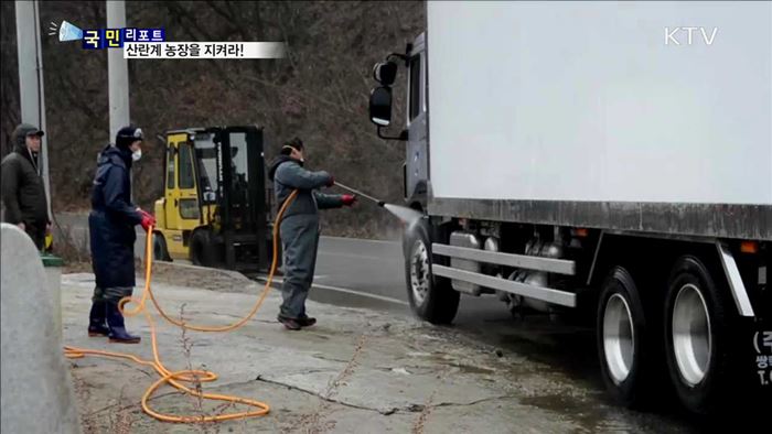 AI 확산 차단 총력…산란계 농장을 사수하라