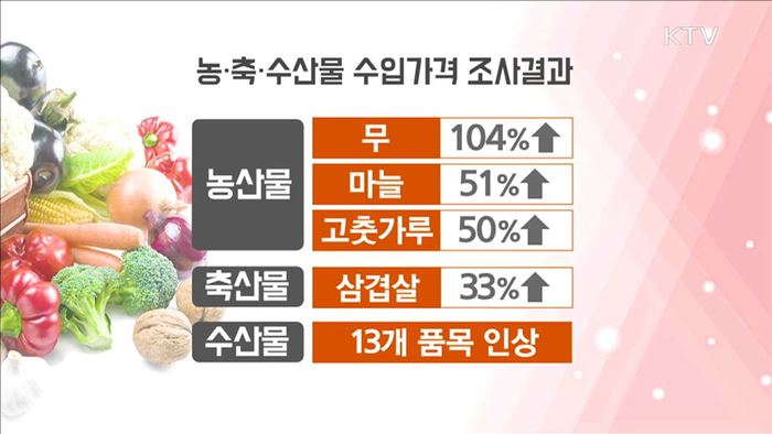 KTV 뉴스 (17시) (509회)