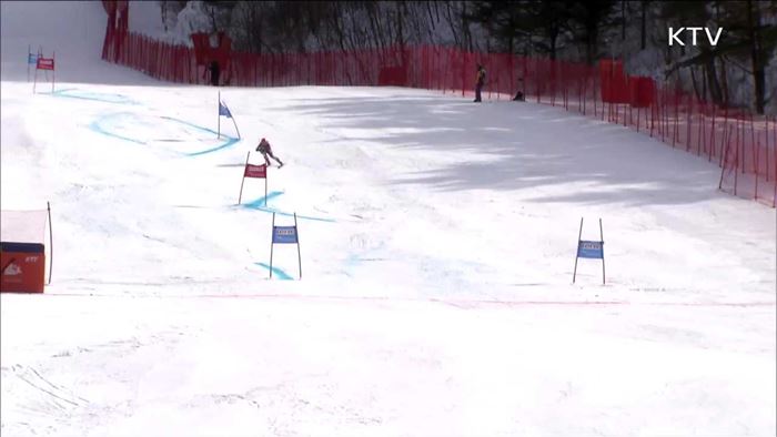 테스트이벤트 '알파인 극동컵' 둘째 날, 평창은 '후끈'