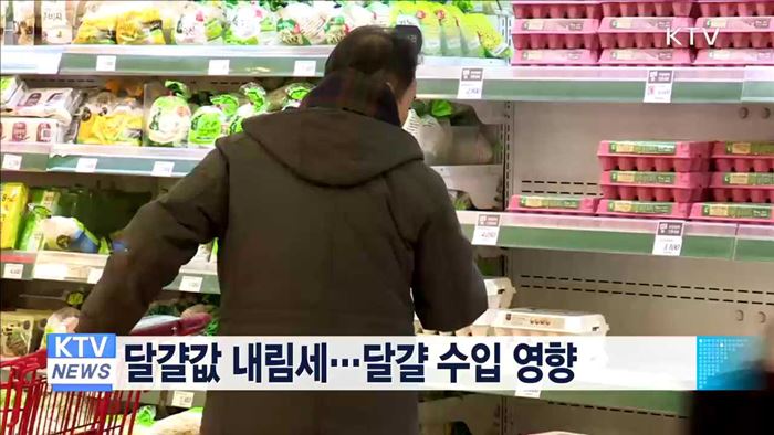 달걀값 내림세…달걀 수입 영향