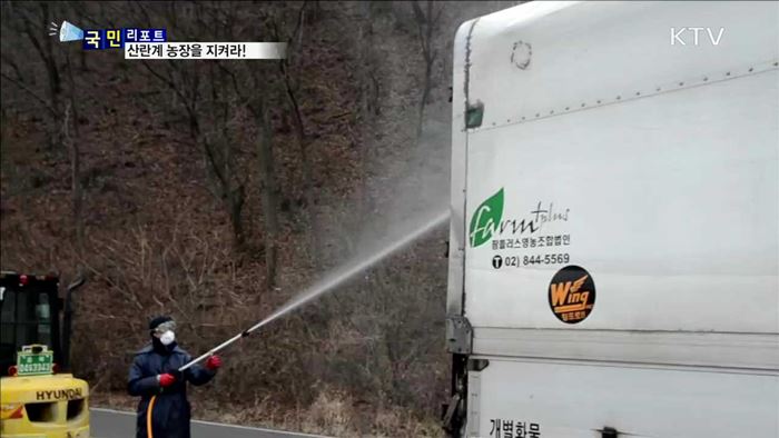 AI 확산 차단 총력…산란계 농장을 사수하라