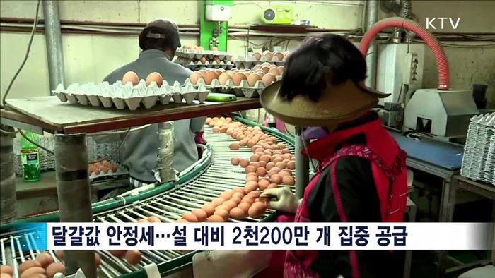 설 대비 달걀 2천200만 개 공급…가격안정