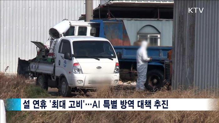 설 명절 '특별 방역 대책'…AI 총력 대응