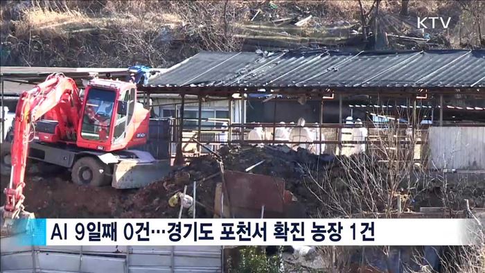 AI 진정세 유지…최대 변수 '철새'