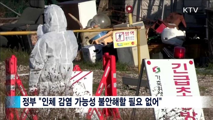 한강 폐사체 고병원성AI… "재확산 가능성 낮아"