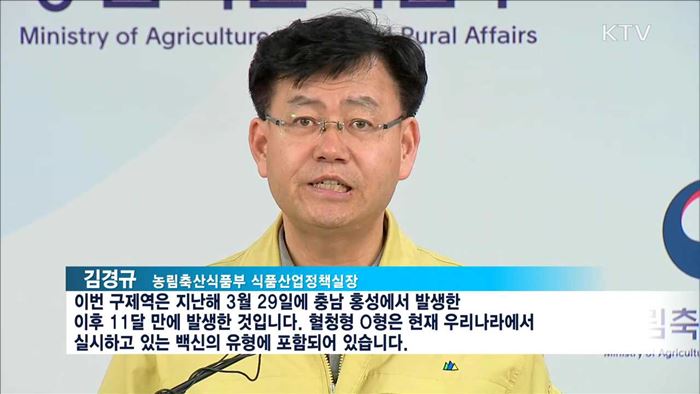 충북 보은 구제역 확진…전국 축산농가 '이동중지'