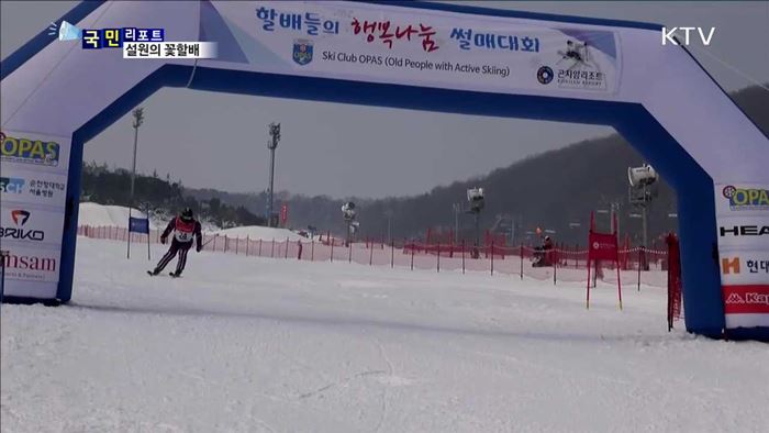국내 첫 시니어 스키대회…설원 누비는 꽃할배