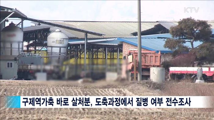 사람 감염 사례 없어…"육류, 먹어도 안전"