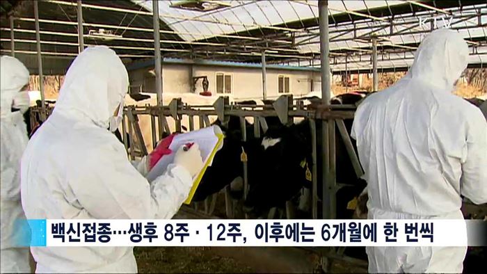 항체형성률 낮아…"올바른 방법으로 접종해야"