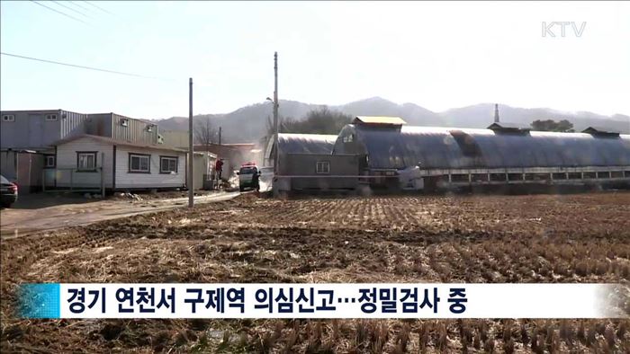 전국 소 314만 마리 일제 백신접종