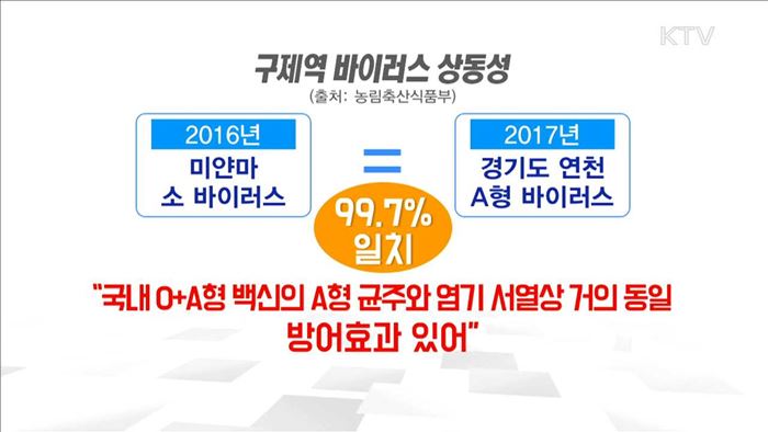 "A형 바이러스, 기존 백신으로 방어 가능"