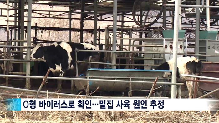 '보은 방역대'가 관건…백신 제조시설 추진