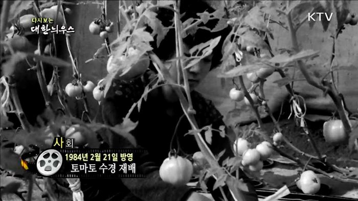다시보는 대한늬우스 (84.02.21)