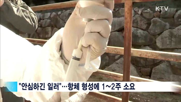 종식 기대감 '고조'…축산물 부당 가격인상 점검