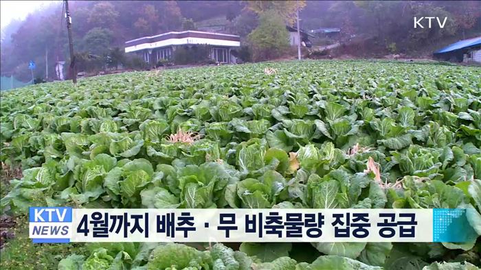 4월까지 배추·무 비축물량 집중 공급