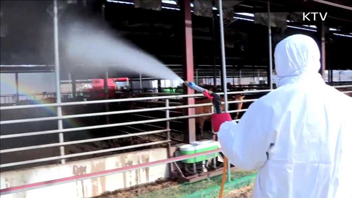 발생지 집중관리…항체형성률 검사 개선