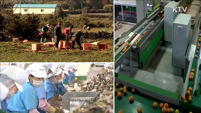 수출시장 다변화…농수산식품 수출 125억 달러 달성