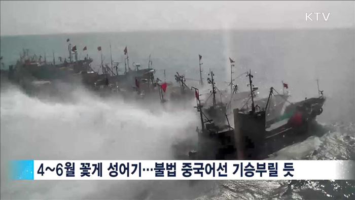 中 어선 전담단속…'서해5도 특별경비단' 창단