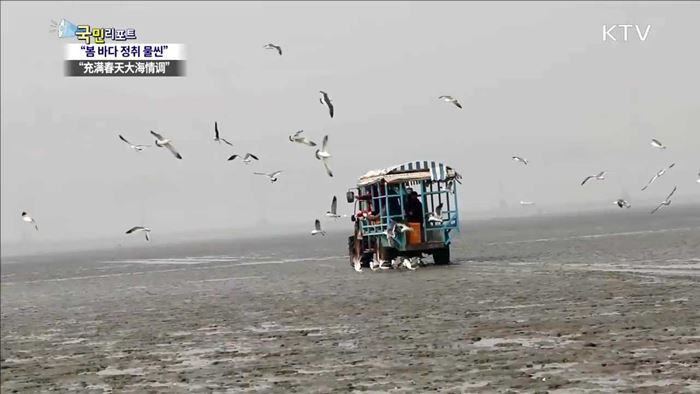 "체험·산책·낙조"…영흥도 매력 만점