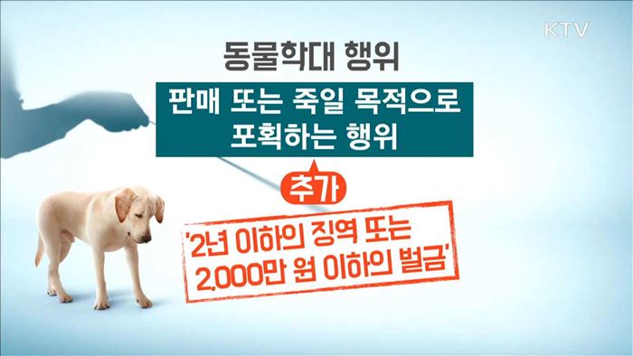 KTV 뉴스 (17시) (560회)