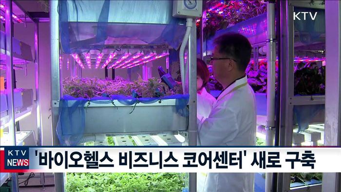 KTV 뉴스 (17시) (566회)