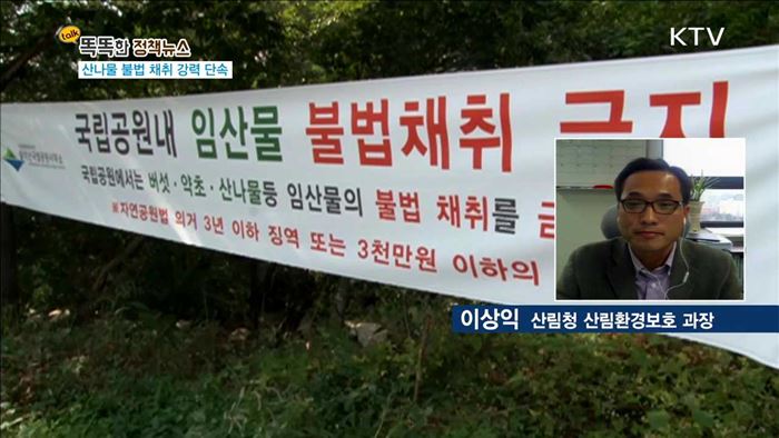 산나물·산약초 불법채취 집중 단속 [똑똑한(TALK TALK) 정책뉴스]