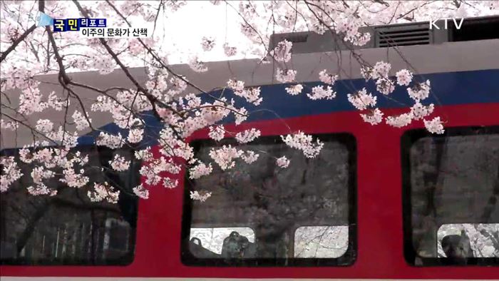 이주의 문화가 산책 (17. 04. 01. 6시)