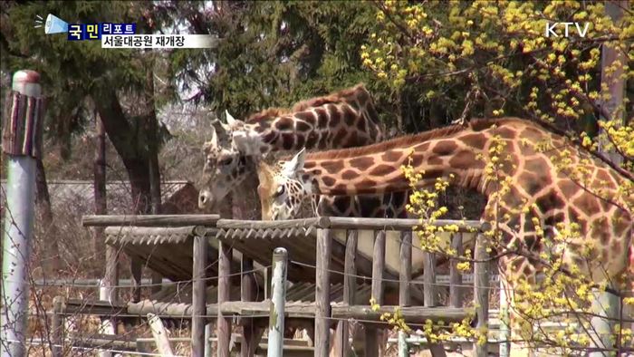 서울대공원 동물원 새봄을 맞아 재개장