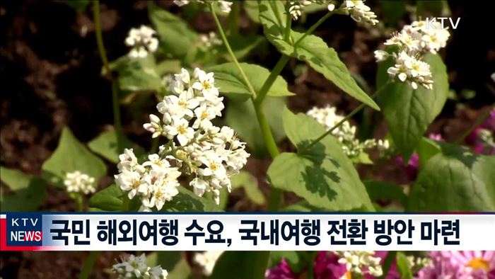 중국 관광객 급감…국내관광 활성화·시장 다변화