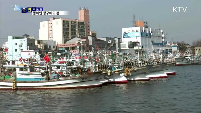 동해안 항구에도 봄 향기 가득