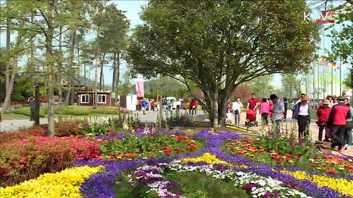 29일부터 '봄 여행주간'…다채로운 행사 마련