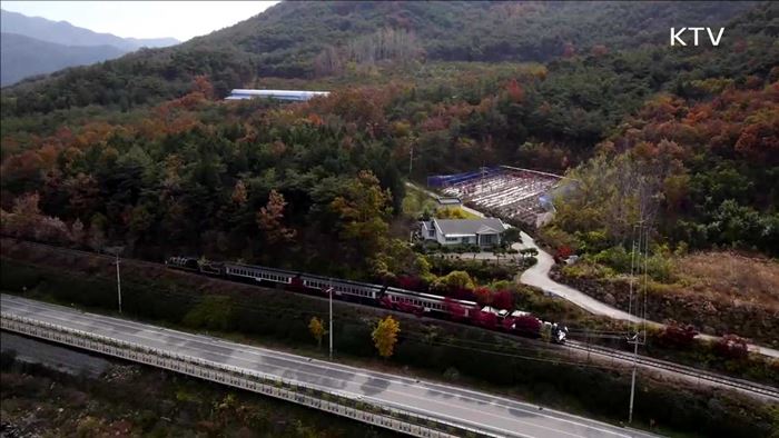 봄 여행주간…'만 원'으로 떠나는 기차여행