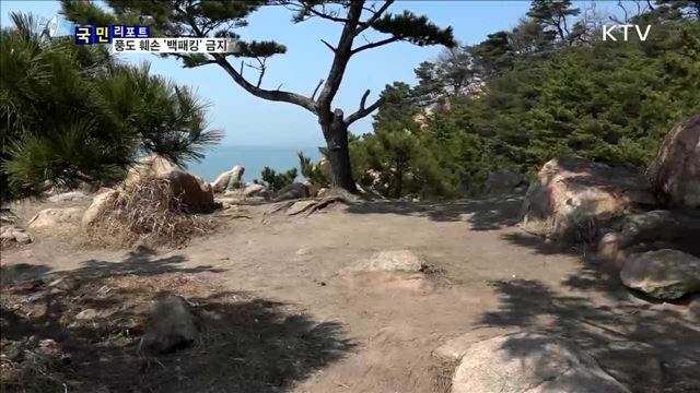 '야생화의 천국' 풍도 훼손…"백패킹 안돼요"