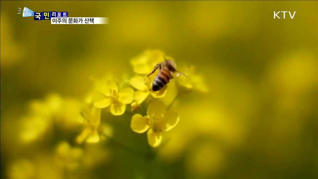 이주의 문화가 산책 (17. 05. 11. 8시)