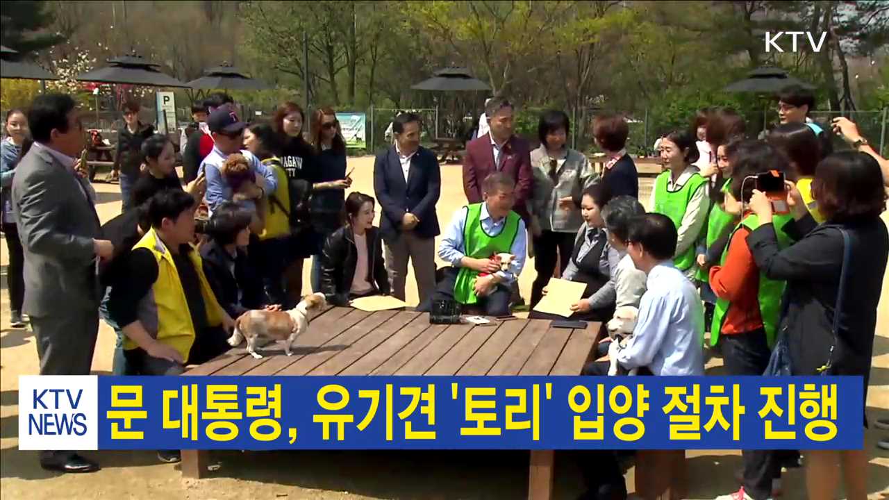 문 대통령, 유기견 '토리' 입양 절차 진행