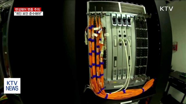 '랜섬웨어' 국내 피해 기업 11곳…"변종 주의"