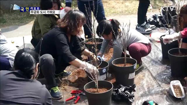 무궁화 도시 세종…시민들과 함께 가꿔요